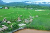 Water Mitty : 8 วันเปลี่ยนตัวเอง