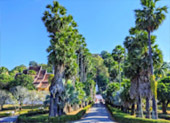 The Cross น่าน หลวงพระบาง 5 วัน 4 คืน