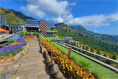 ORT เกลือ น้ำตาล น้ำ ค้นพบ สำรวจให้ตะลึง เขาค้อ เชียงคาน 3 วัน 2 คืน