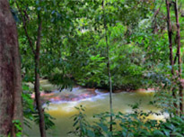 The Hidden: แหลมสัก อ่าวลึก The Hidden: แหลมสัก อ่าวลึก