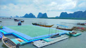 เกาะเจมส์บอนด์ 007 Day Trip ครบทุกฉาก ที่พังงา เกาะเจมส์บอนด์ 007 Day Trip ครบทุกฉาก ที่พังงา