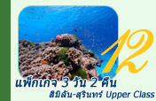 แพ็กเกจ 3 วัน 2 คืน สิมิลัน-สุรินทร์ Upper Class