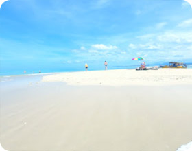 Sand Dune: เกาะผ้า(ขาว) Sand Dune: เกาะผ้า(ขาว)
