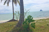 Yao-Yai islanders ทัวร์รอบเกาะยาวใหญ่ Yao-Yai islanders ทัวร์รอบเกาะยาวใหญ่