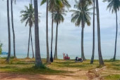 Yao-Yai islanders ทัวร์รอบเกาะยาวใหญ่ Yao-Yai islanders ทัวร์รอบเกาะยาวใหญ่