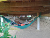 Yao-Yai islanders ทัวร์รอบเกาะยาวใหญ่ Yao-Yai islanders ทัวร์รอบเกาะยาวใหญ่