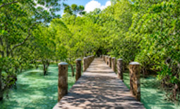 รีสอร์ทเพียงแห่งเดียว Wa Ale Resort รีสอร์ทเพียงแห่งเดียว Wa Ale Resort