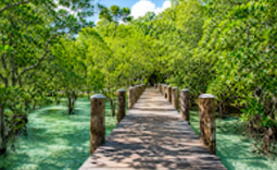 รีสอร์ทเพียงแห่งเดียว Wa Ale Resort รีสอร์ทเพียงแห่งเดียว Wa Ale Resort