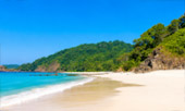 เกาะส่วนตัว Ale Island เกาะส่วนตัว Ale Island
