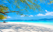 เกาะส่วนตัว Ale Island เกาะส่วนตัว Ale Island