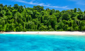 เกาะส่วนตัว Ale Island เกาะส่วนตัว Ale Island