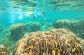 Explore Swim Kayak Relax Explore Swim Kayak Relax