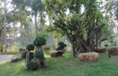 เกาะหัวใจ เกาซาลิ ทะเลพม่าจริง ๆ : 3 วัน 2 คืน เกาะหัวใจ เกาซาลิ ทะเลพม่าจริง ๆ : 3 วัน 2 คืน