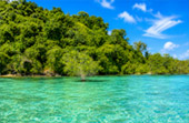 Snorkeling and Beach Activities Snorkeling and Beach Activities