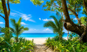 กิจกรรมบนเกาะ: พายัค เดินป่าชมธรรมชาติ กิจกรรมบนเกาะ: พายัค เดินป่าชมธรรมชาติ