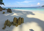 Surprices Gorgeous  เต็มวัน เกาะนาวโอพี Surprices Gorgeous  เต็มวัน เกาะนาวโอพี