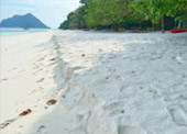 Surprices Gorgeous  เต็มวัน เกาะนาวโอพี Surprices Gorgeous  เต็มวัน เกาะนาวโอพี