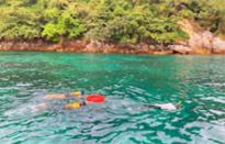 Surprices Gorgeous  เต็มวัน เกาะนาวโอพี Surprices Gorgeous  เต็มวัน เกาะนาวโอพี