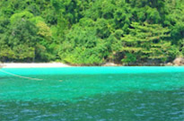 Surprices Gorgeous  เต็มวัน เกาะนาวโอพี Surprices Gorgeous  เต็มวัน เกาะนาวโอพี