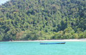 Surprices Gorgeous  เต็มวัน เกาะนาวโอพี Surprices Gorgeous  เต็มวัน เกาะนาวโอพี