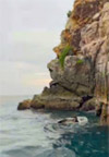 Surprices Gorgeous  เต็มวัน เกาะนาวโอพี Surprices Gorgeous  เต็มวัน เกาะนาวโอพี