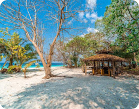 Beachside Living พักบนเกาะซาลิ 2 วัน 1 คืน