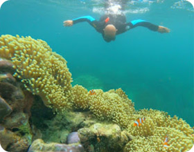 Thai Islands เกาะสุรินทร์ ระนอง ทะเลไทย 3 วัน 2 คืน Thai Islands เกาะสุรินทร์ ระนอง ทะเลไทย 3 วัน 2 คืน