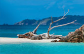 เกาะซาลิ - งดงามไร้ขีดจำกัด เกาะซาลิ - งดงามไร้ขีดจำกัด
