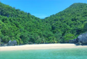 เช่าเรือส่วนตัวเที่ยวเกาะสมุย เช่าเรือส่วนตัวเที่ยวเกาะสมุย