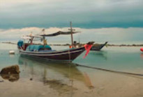 เช่าเรือส่วนตัวเที่ยวเกาะสมุย เช่าเรือส่วนตัวเที่ยวเกาะสมุย