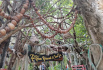 เช่าเรือส่วนตัวเที่ยวเกาะสมุย เช่าเรือส่วนตัวเที่ยวเกาะสมุย