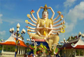 Passion Hop : 3 วัน 2 คืน เกาะแตน เกาะมัตสุ่ม พักสมุย Passion Hop : 3 วัน 2 คืน เกาะแตน เกาะมัตสุ่ม พักสมุย