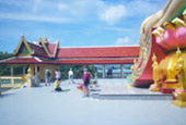 Passion Hop : 3 วัน 2 คืน เกาะแตน เกาะมัตสุ่ม พักสมุย Passion Hop : 3 วัน 2 คืน เกาะแตน เกาะมัตสุ่ม พักสมุย