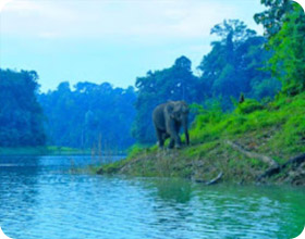 ทริปท่องเที่ยวสุราษฎร์ธานี ทริปท่องเที่ยวสุราษฎร์ธานี
