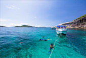 Dream Islands : 3 เกาะในฝัน Dream Islands : 3 เกาะในฝัน