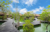 Dream Islands : 3 เกาะในฝัน Dream Islands : 3 เกาะในฝัน