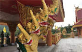 Dream Islands : 3 เกาะในฝัน Dream Islands : 3 เกาะในฝัน