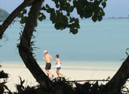 Dream Islands : 3 เกาะในฝัน Dream Islands : 3 เกาะในฝัน