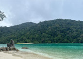 ติดเกาะสุรินทร์ : พักร้อน บนเกาะ 3 วัน 2 คืน ติดเกาะสุรินทร์ : พักร้อน บนเกาะ 3 วัน 2 คืน