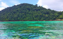 ติดเกาะสุรินทร์ : พักร้อน บนเกาะ 3 วัน 2 คืน ติดเกาะสุรินทร์ : พักร้อน บนเกาะ 3 วัน 2 คืน
