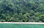 ติดเกาะสุรินทร์ : พักร้อน บนเกาะ 3 วัน 2 คืน ติดเกาะสุรินทร์ : พักร้อน บนเกาะ 3 วัน 2 คืน