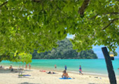 ติดเกาะสุรินทร์ : พักร้อน บนเกาะ 3 วัน 2 คืน ติดเกาะสุรินทร์ : พักร้อน บนเกาะ 3 วัน 2 คืน
