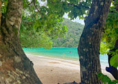 ติดเกาะสุรินทร์ : พักร้อน บนเกาะ 3 วัน 2 คืน ติดเกาะสุรินทร์ : พักร้อน บนเกาะ 3 วัน 2 คืน