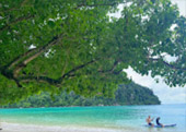 ติดเกาะสุรินทร์ : พักร้อน บนเกาะ 3 วัน 2 คืน ติดเกาะสุรินทร์ : พักร้อน บนเกาะ 3 วัน 2 คืน