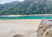 ติดเกาะสุรินทร์ : พักร้อน บนเกาะ 3 วัน 2 คืน ติดเกาะสุรินทร์ : พักร้อน บนเกาะ 3 วัน 2 คืน