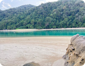ทริปท่องเที่ยว เกาะสุรินทร์ เกาะสิมิลัน ทริปท่องเที่ยว เกาะสุรินทร์ เกาะสิมิลัน