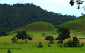 Dream Islands : 3 เกาะในฝัน Dream Islands : 3 เกาะในฝัน