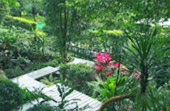 Dream Islands : 3 เกาะในฝัน Dream Islands : 3 เกาะในฝัน