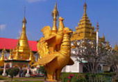 5 วัน 4 คืน ทีลอซู ลำปาง เชียงใหม่