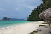 เรือหางยาวเช่าไปเกาะ ตรัง เรือหางยาวเช่าไปเกาะ ตรัง